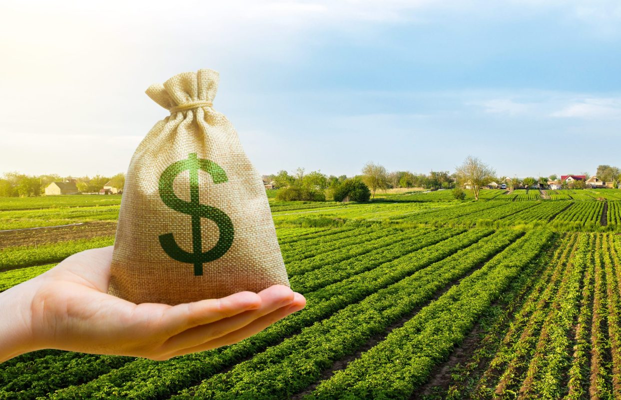 Agricultura Sustentável: Presidente do Brasil Anuncia Novas Políticas para Setor Agropecuário